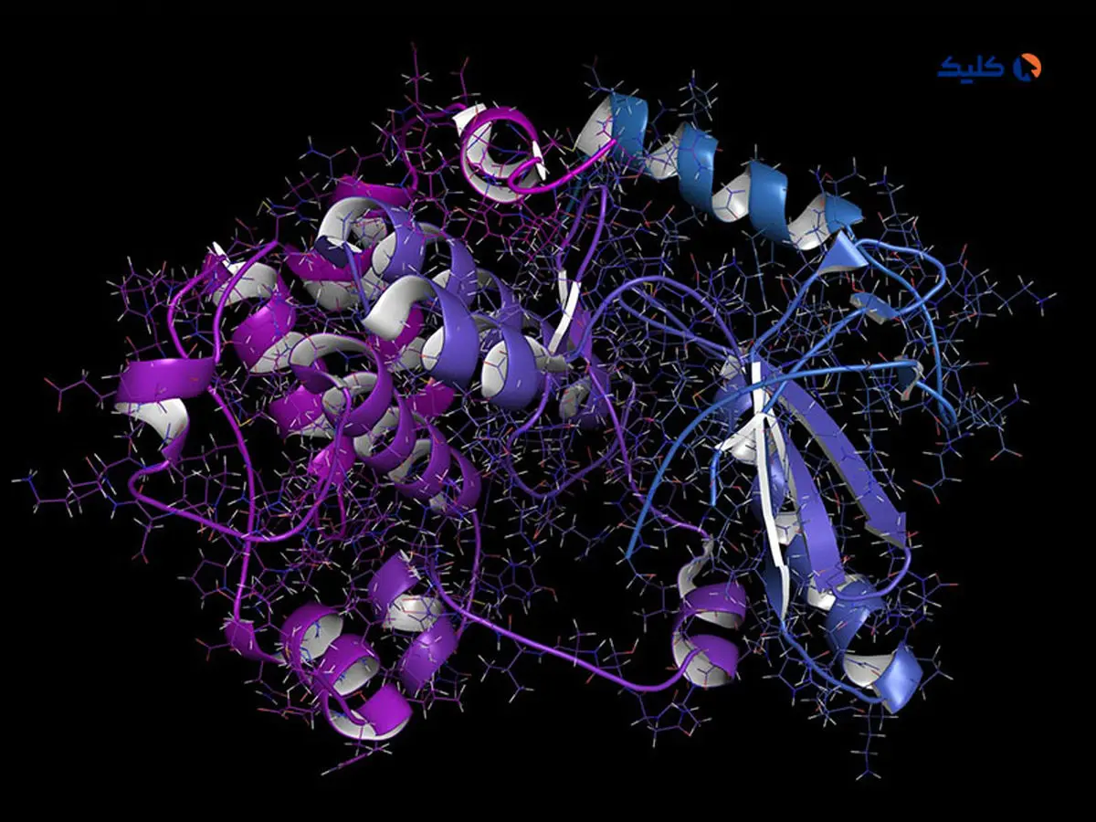 پیش بینی ساختار پروتئین ها در بدن توسط هوش مصنوعی