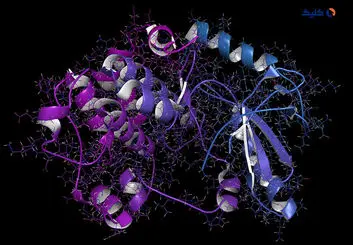 پیش بینی ساختار پروتئین ها در بدن توسط هوش مصنوعی