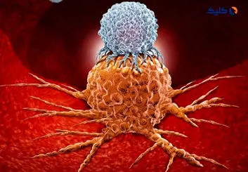 سلول‌های سرطانی "زبان الکتریکی" دارند