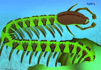 کشف بزرگی که کتاب‌های علوم را تغییر می‌دهد