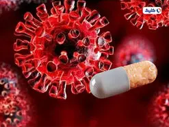 قرص کرونا دانشمندان چینی در آزمایش‌ها، از «پاکسلووید» فایزر موفق‌‌تر ظاهر شد