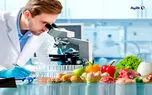 تقویت سیستم ایمنی بدن با پودر غذایی فرآوری غلات
