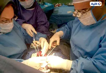 تولید پودر بندآورنده خونریزی