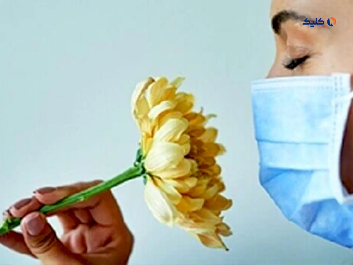 برگشت حس بویایی پس از کووید-۱۹ با تزریق در بینی