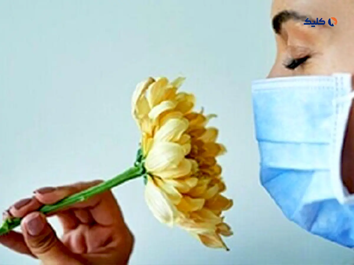 برگشت حس بویایی پس از کووید-۱۹ با تزریق در بینی