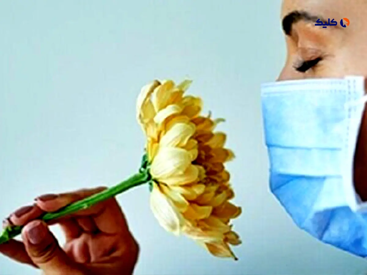 برگشت حس بویایی پس از کووید-۱۹ با تزریق در بینی