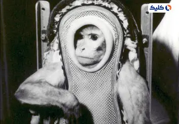 میمون رزوس، خانم سم به فضا پرتاب شد