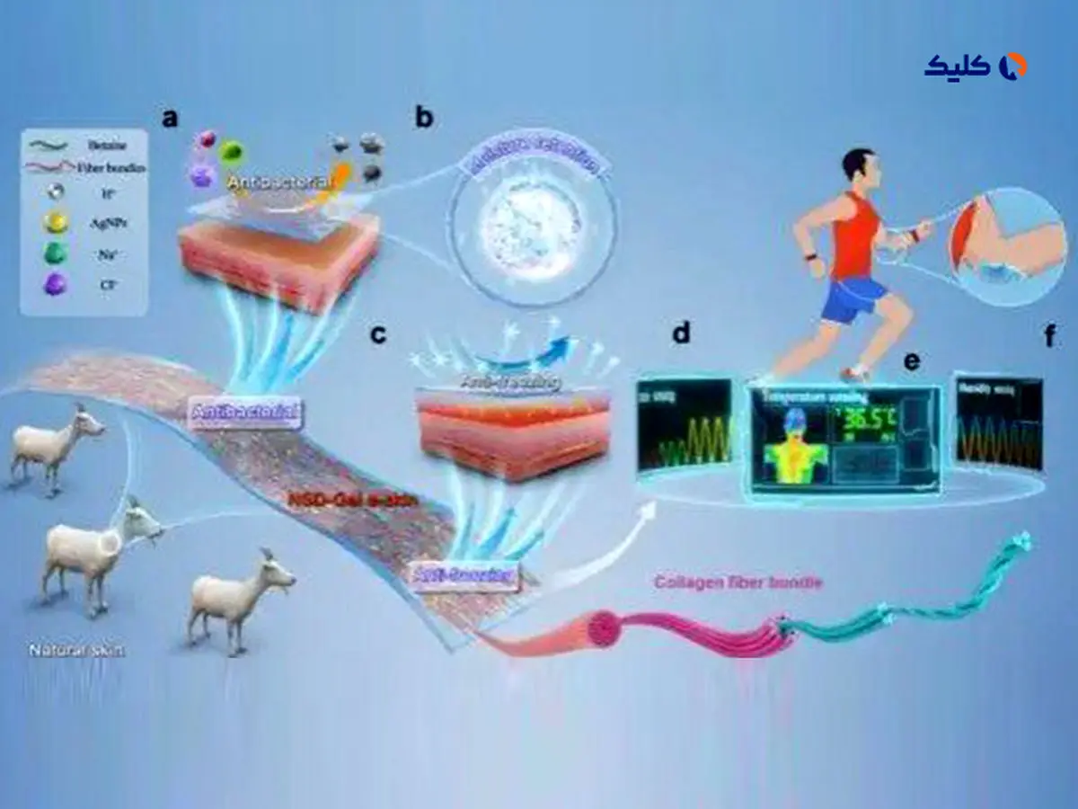 ساخت پوست الکترونیکی جدید که بر بدن نظارت دارد