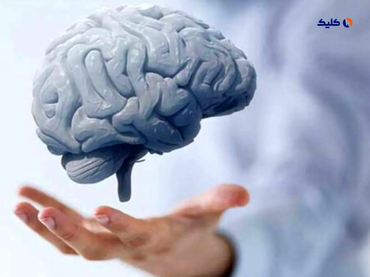 ساخت الکترودهای قابل رشد در مغز