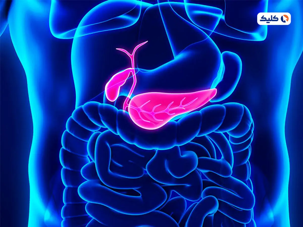 مهندسی زیستی پانکراس برای اولین بار