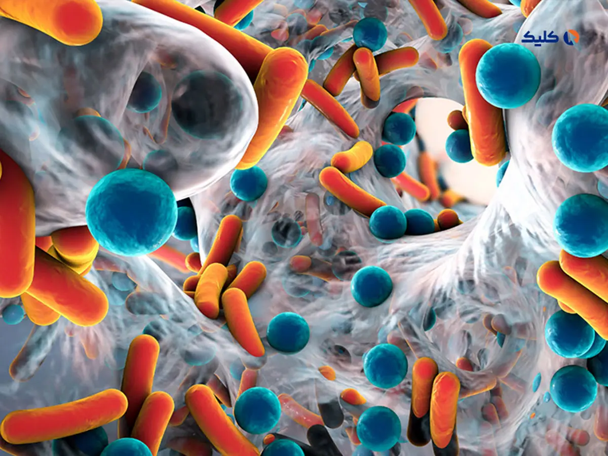 تولید کیت نانویی برای شناسایی مقاومت آنتی‌بیوتیکی