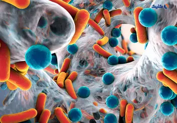 تولید کیت نانویی برای شناسایی مقاومت آنتی‌بیوتیکی