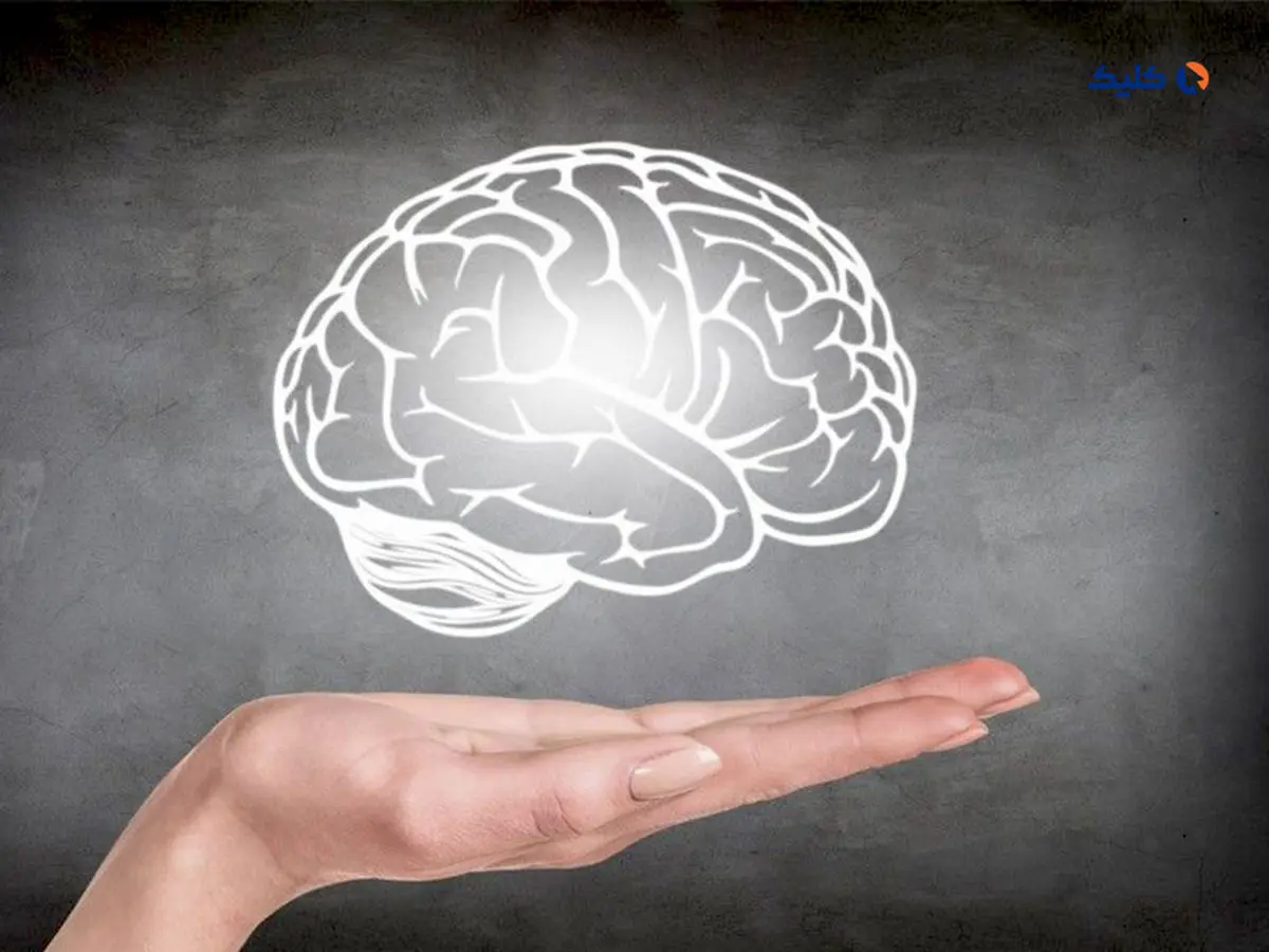 درک جدیدی از فرایند پیری مغز که به درمان بیماری های عصبی منجر می شود