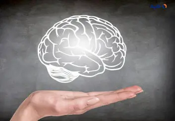 درک جدیدی از فرایند پیری مغز که به درمان بیماری های عصبی منجر می شود