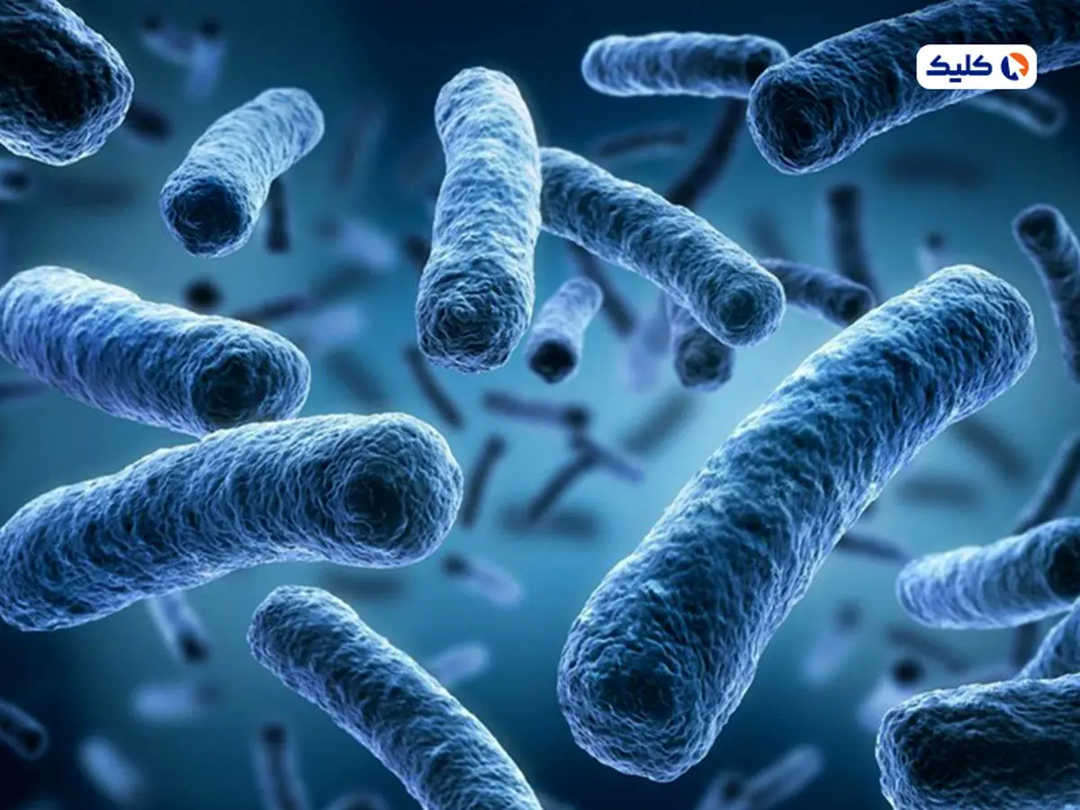 باکتری های سالم روده به مبارزه با سرطان کمک می کنند