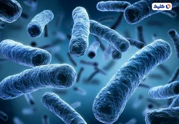 باکتری های سالم روده به مبارزه با سرطان کمک می کنند