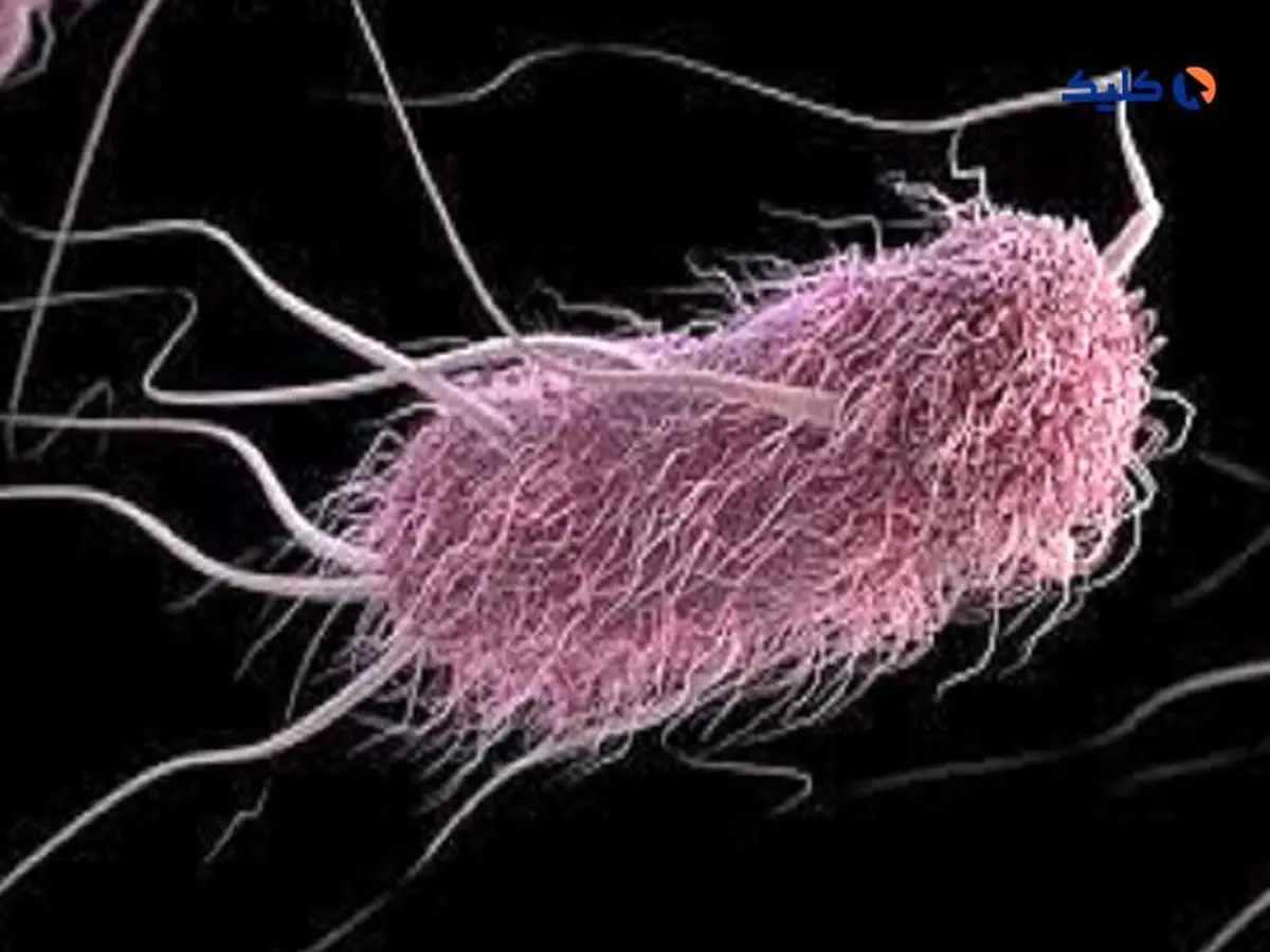 دانشمندان نوعی باکتری روده را برای شناسایی و نابودسازی سرطان مهندسی کردند