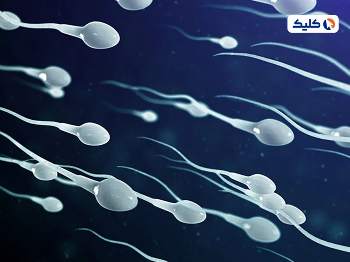 راه جدید برای ساخت داروی ضدبارداری مردانه