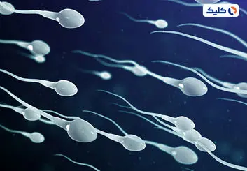 راه جدید برای ساخت داروی ضدبارداری مردانه