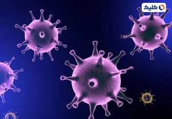 دانشمندان به سرنخ‌های جدیدی از منشأ کرونا دست یافتند