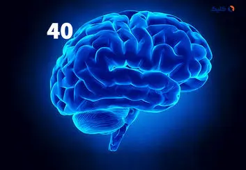 تغییرات ساختاری مغز انسان در چهل سالگی