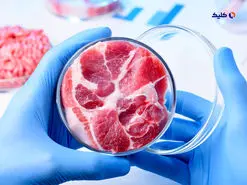 تولید گوشت مصنوعی با عطر چربی‌های آزمایشگاهی