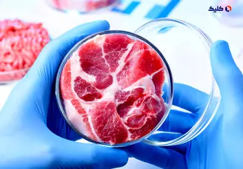 تولید گوشت مصنوعی با عطر چربی‌های آزمایشگاهی