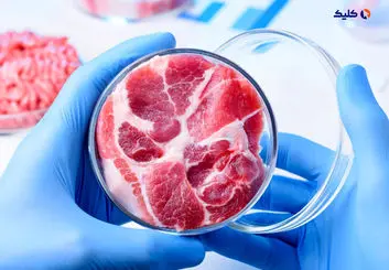 تولید گوشت مصنوعی با عطر چربی‌های آزمایشگاهی