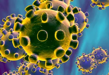 درمان جدید ویروس کرونا با آنتی بادی