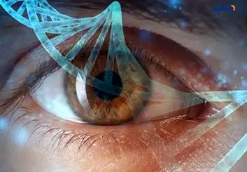 کشفی جدید درباره نحوه تکامل بینایی انسان