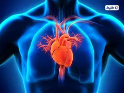 ژن ضدپیری‌‌ای که قلب را ۱۰ سال جوان‌تر می‌کند