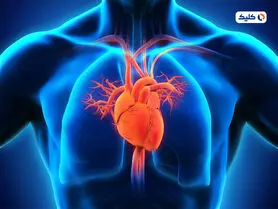 ژن ضدپیری‌‌ای که قلب را ۱۰ سال جوان‌تر می‌کند