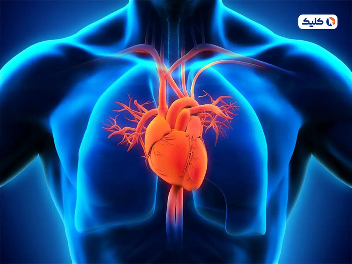 ژن ضدپیری‌‌ای که قلب را ۱۰ سال جوان‌تر می‌کند