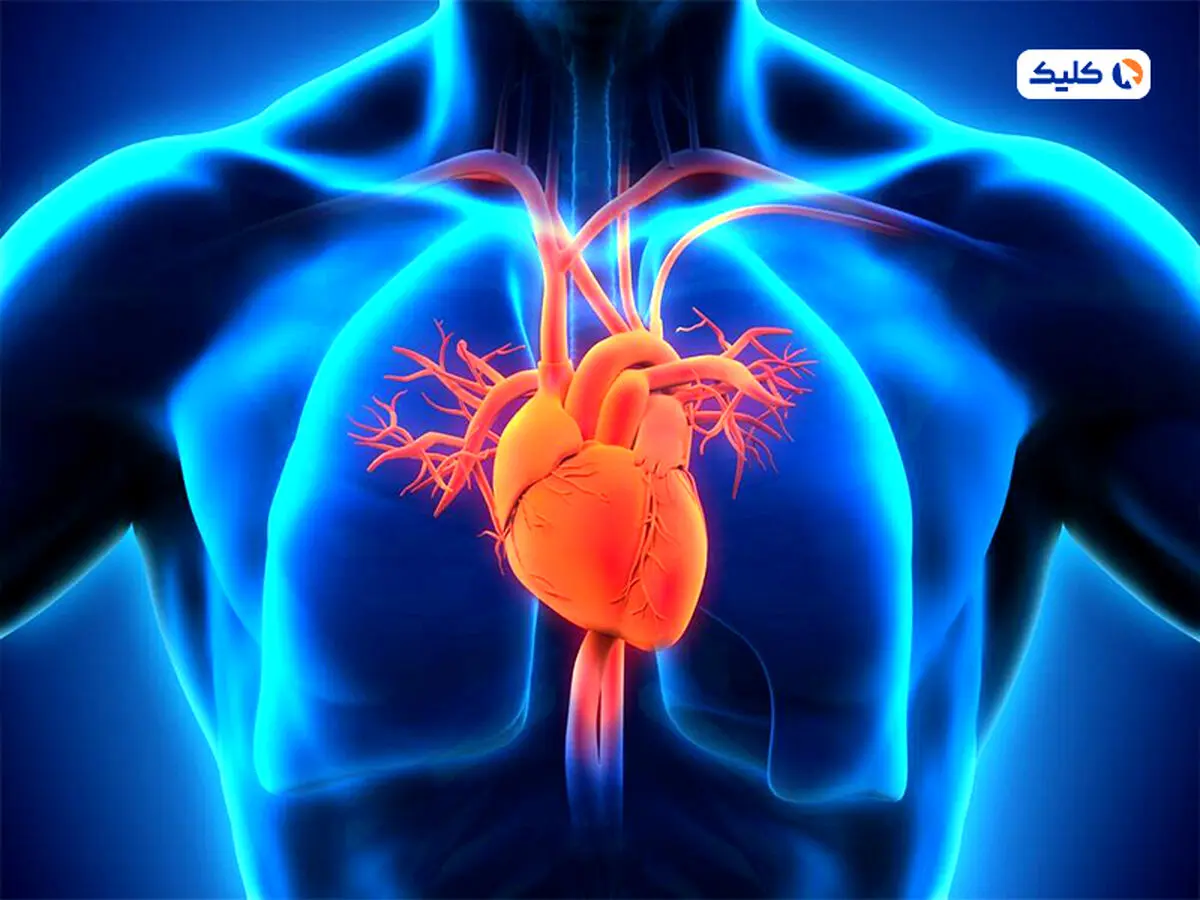 ژن ضدپیری‌‌ای که قلب را ۱۰ سال جوان‌تر می‌کند