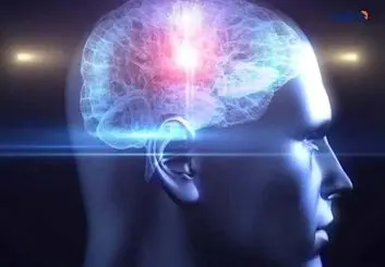 مغز چه زمانی در اوج عملکرد خود کار می‌کند؟