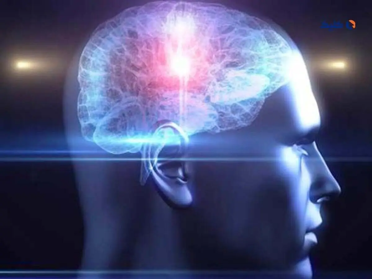 مغز چه زمانی در اوج عملکرد خود کار می‌کند؟