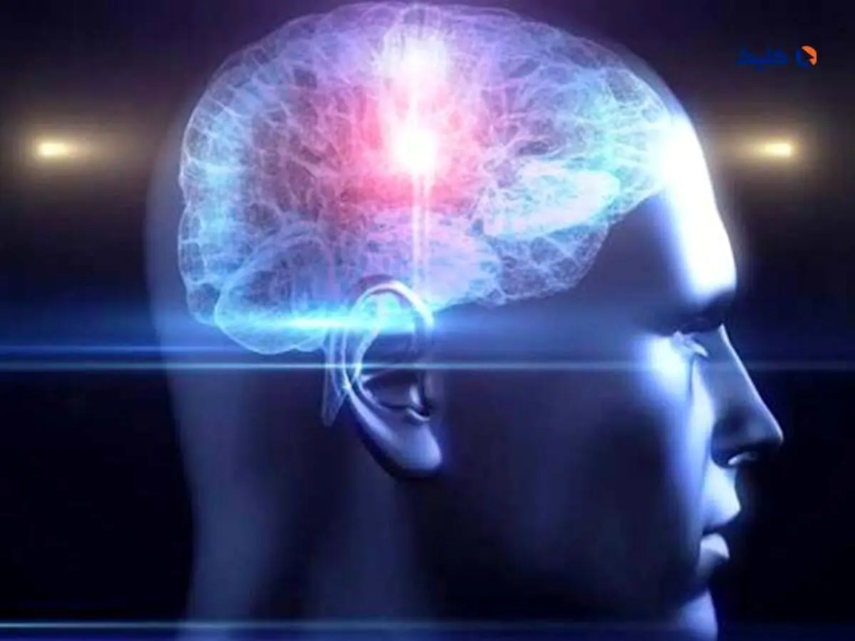 مغز چه زمانی در اوج عملکرد خود کار می‌کند؟
