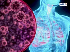 شناسایی پروتئینی در ریه که با کرونا مبارزه می‌کند