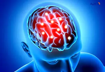 تاثیر درجه حرارت مغز بر فعالیت عصبی