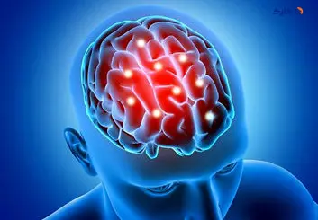 تاثیر درجه حرارت مغز بر فعالیت عصبی