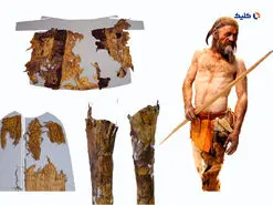 نخستین لباس ها چگونه توسط انسان هوشمند تولید شد؟