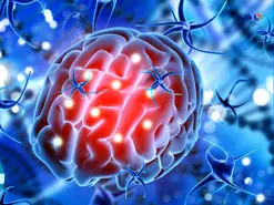 درمان سرطان مغز به‎‌طور کامل در موش‌ها