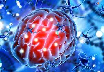 درمان سرطان مغز به‎‌طور کامل در موش‌ها