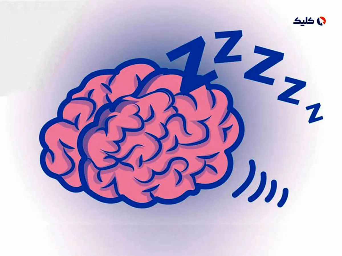 مغز در هنگام خواب جریان خون را چطوری کنترل می کند