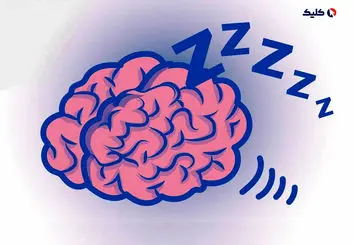 مغز در هنگام خواب جریان خون را چطوری کنترل می کند