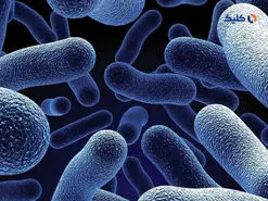 دانشمندان ۳۰ هزار ویروس جدید را در دی‌ان‌ای میکروب‌ها کشف کردند