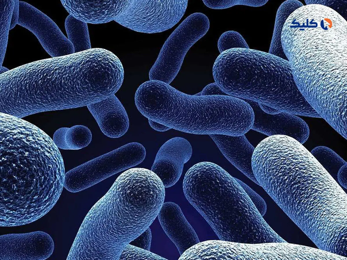 دانشمندان ۳۰ هزار ویروس جدید را در دی‌ان‌ای میکروب‌ها کشف کردند