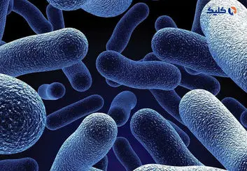 دانشمندان ۳۰ هزار ویروس جدید را در دی‌ان‌ای میکروب‌ها کشف کردند