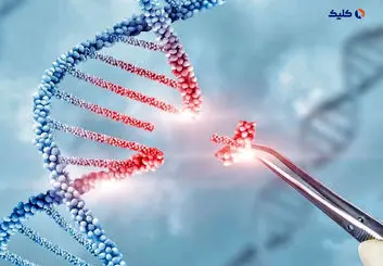 روش جدید و کارآمد برای ویرایش ژن ابداع شد