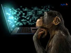 پیوند شگفت‌انگیز مغز میمون با کامپیوتر در چین